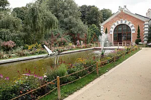 Аптекарский огород